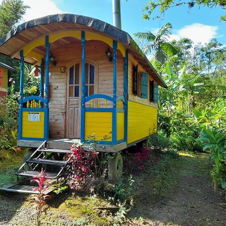 Hosteria La Roulotte - Mindo Zewnętrze zdjęcie