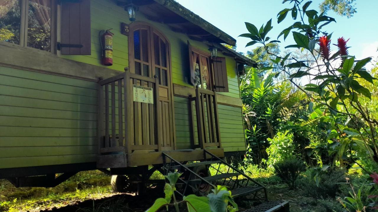 Hosteria La Roulotte - Mindo Zewnętrze zdjęcie