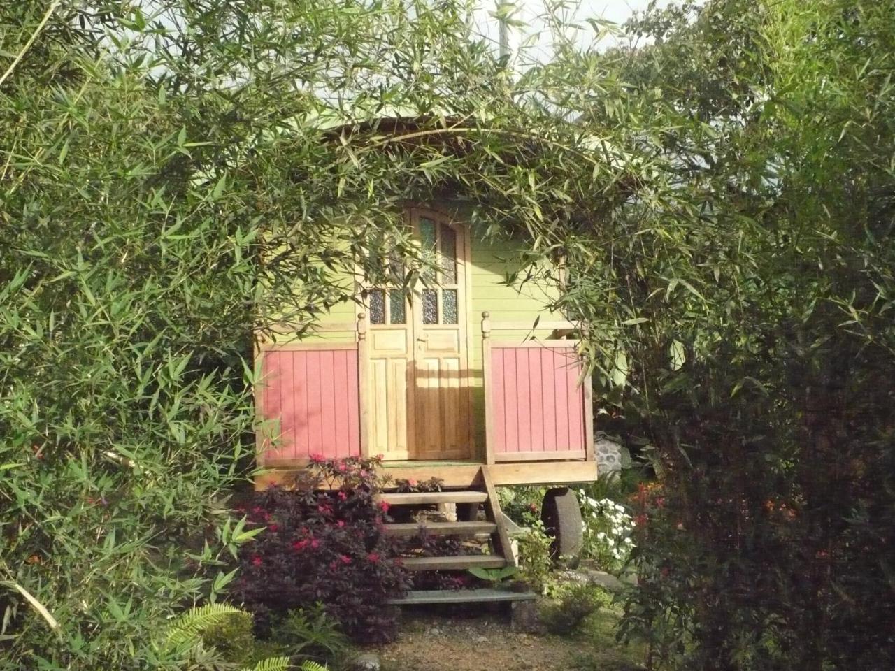 Hosteria La Roulotte - Mindo Zewnętrze zdjęcie