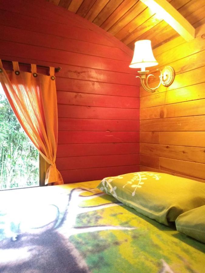 Hosteria La Roulotte - Mindo Zewnętrze zdjęcie